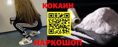 шишки Краснознаменск
