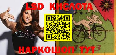 шишки Краснознаменск