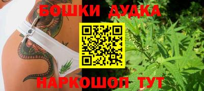 шишки Краснознаменск