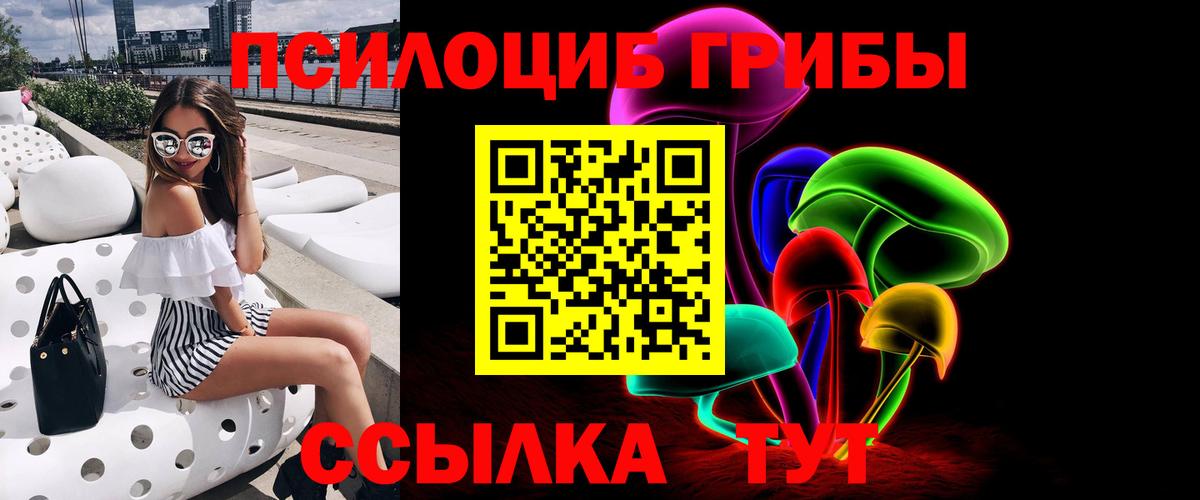 Галлюциногенные грибы Psilocybe  Псилоцибиновые грибы GOLDEN TEACHER  Вход с VPN  Камень-на-Оби 